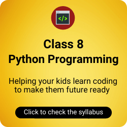 Class 8 Python Programming Course