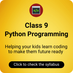 Class 9 Python Programming Course
