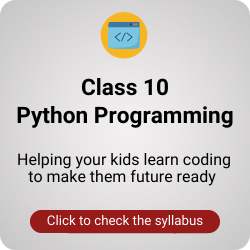 Class 10 Python Programming Course