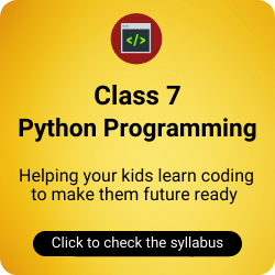 Class 7 Python Programming Course