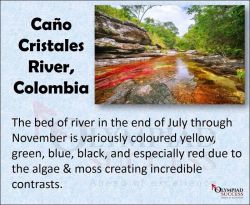 Cano Cristales River, Columbia